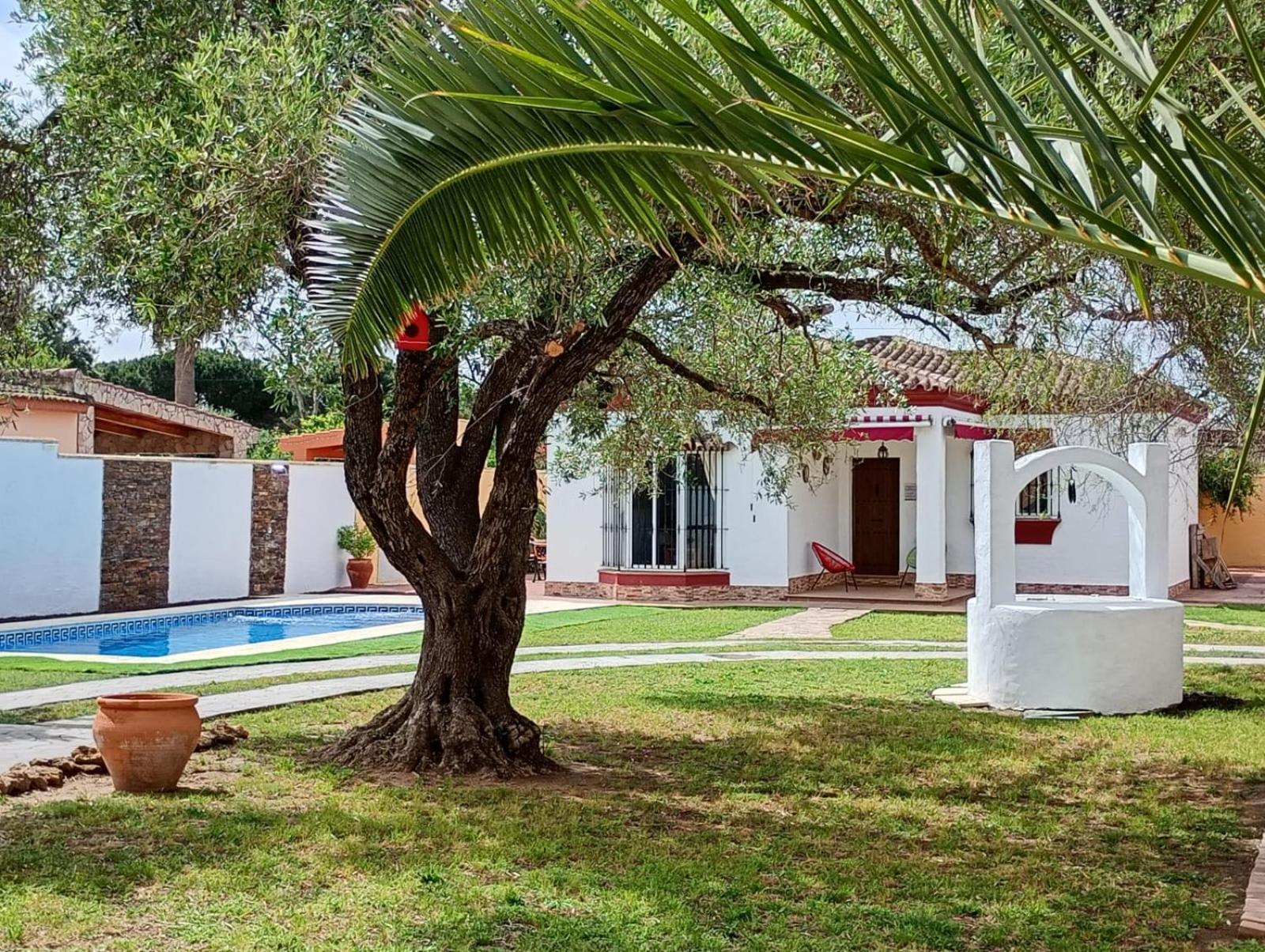 Chalet Pura Vida Chiclana de la Frontera Eksteriør billede